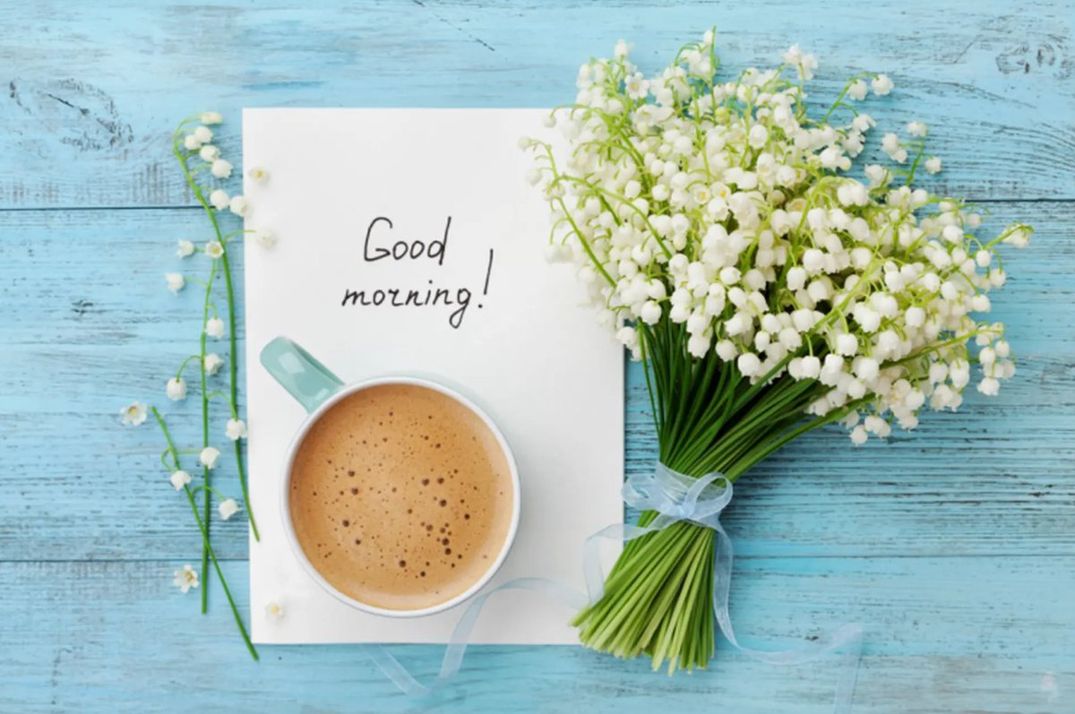 HoaDaoVan1's tweet photo. Qua đi chơi với bạn bè về muộn giờ mới bình minh
Chúc mọi người thứ 6 Vui Vẻ
Đi qua chào nhau câu cho ngày mới tốt lành ạ https://t.co/pBqwiZlgdy