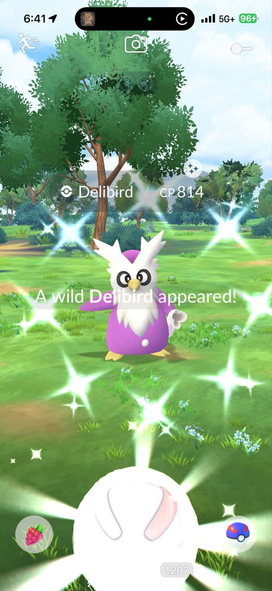 Willn386's tweet photo. Rainy Spotlight Hour = Car Grind 🚗 

Delibird SH Results:

298 - Caught 
2 - Shiny ✨ 
474k - Stardust 💫 

Before and After ⬇️ 

#Pokemon #PokemonGO https://t.co/4WlntXLLYa