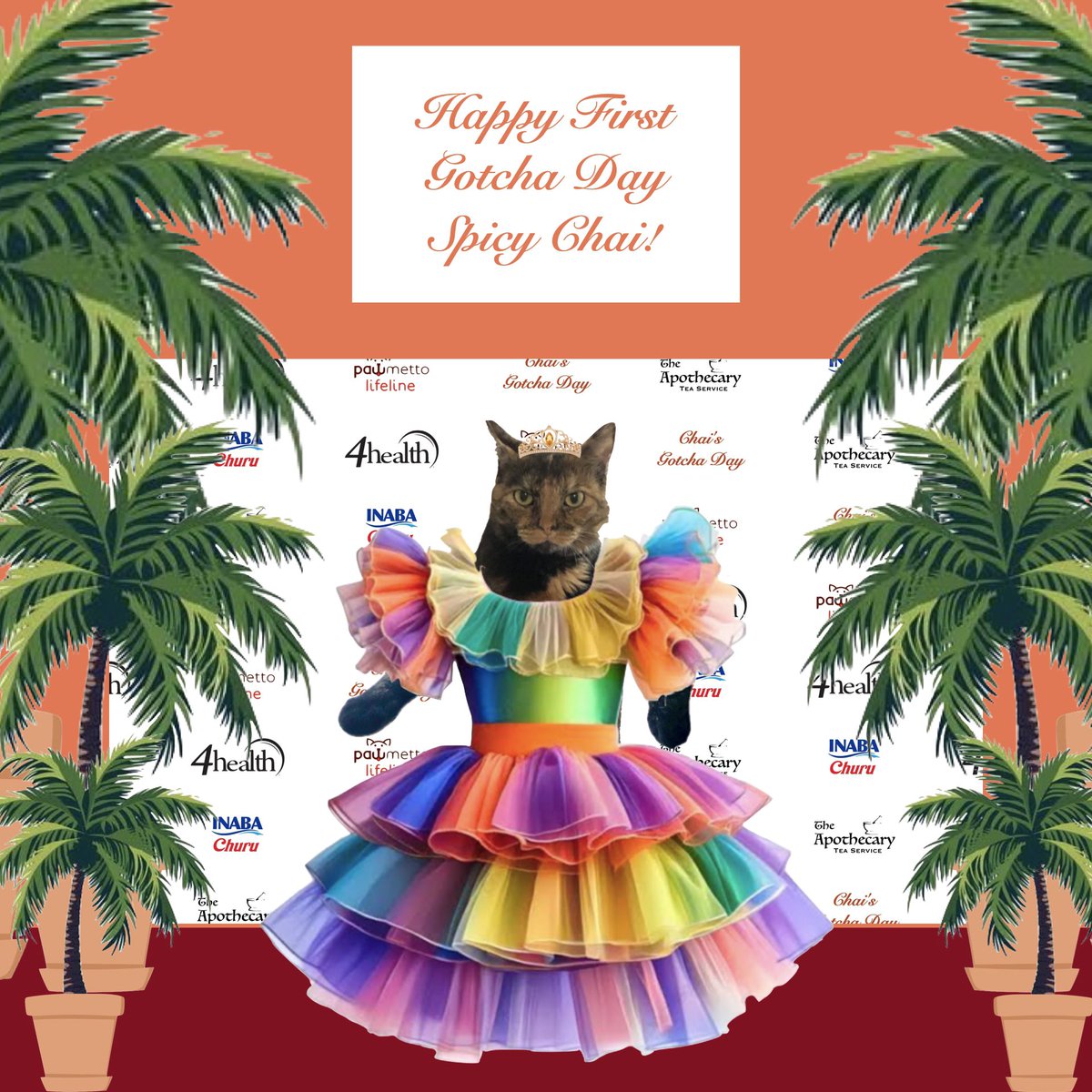 ChaiGerdes's tweet photo. I’m so excited about my party! Friends started arriving in South Carolina last night and we’ve even got friends coming from overseas. Jasper and Uncle Bob came along with me. LET’S PAAAAR-TAY! #GotchaChai https://t.co/mqobtEuFMy