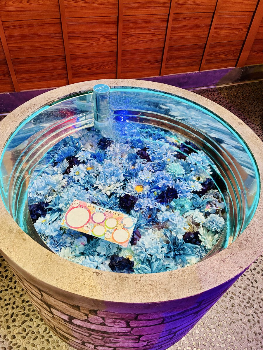 miimasu1123's tweet photo. ＃フジテレビ ＃ちいかわ おばけの森 施設内をウォークスルー形式で楽しんだ後はスーパージャンボヨーヨーつり、井戸の中が花手水のようになっていてとっても綺麗な水みくじ、映画ちいかわのフォトブース、全て待ち0人で快適に楽しめました😉　＃お台場 https://t.co/vt4thyjKoZ