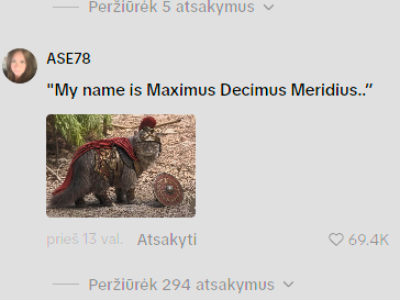 lillykuan's tweet photo. Insnely viral video of cat staring off an bear went viral today reaching almost 2m likes in 24 hours

This cat just had a standoff with a fullsize bear and they memed him in the comments calling it

Maximus Decimus Meridius

https://t.co/uzWtEIAaGK