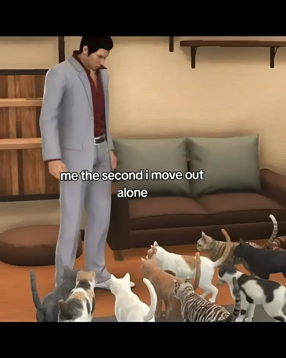 PunchingCat's tweet photo. https://t.co/Um5X4XR7Vy