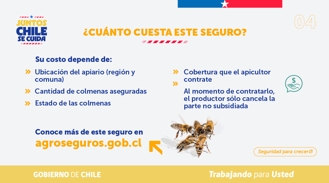 MinagriCL's tweet photo. 🐝 En el #DíaNacionalDeLaMiel, te contamos que @Agroseguroscl cuenta con un Seguro Apícola con subsidio estatal para proteger tu actividad.

Este seguro permite resguardar la producción, las colmenas y el material vivo frente a distintos riesgos, entregando mayor seguridad a las y los apicultores para recuperar su patrimonio y fortalecer el desarrollo de la apicultura.

🍯 Infórmate más en https://t.co/DuEWIuFAu3