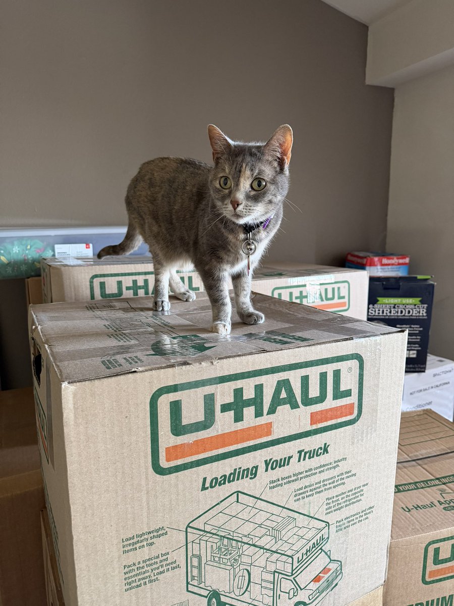CVenableWx's tweet photo. I arrived in Amarillo and settled into my new place. Hailey is now free to explore, and there are so many boxes to play in! https://t.co/zH53WuIwmk