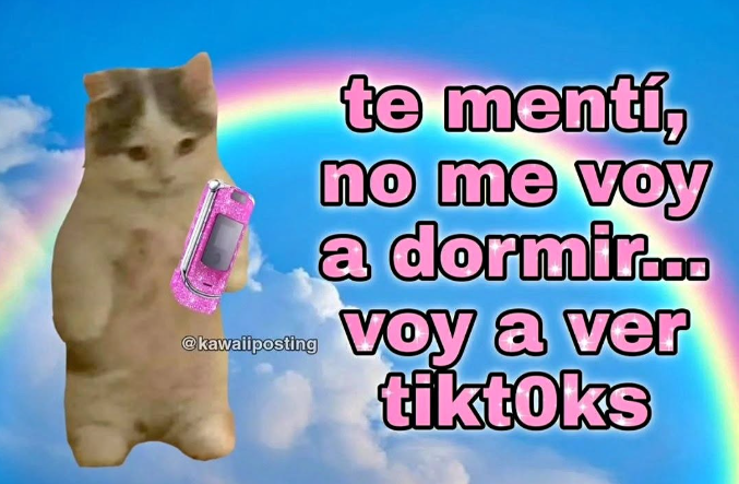 MexicoMagico's tweet photo. https://t.co/xcnFIUO0Dd