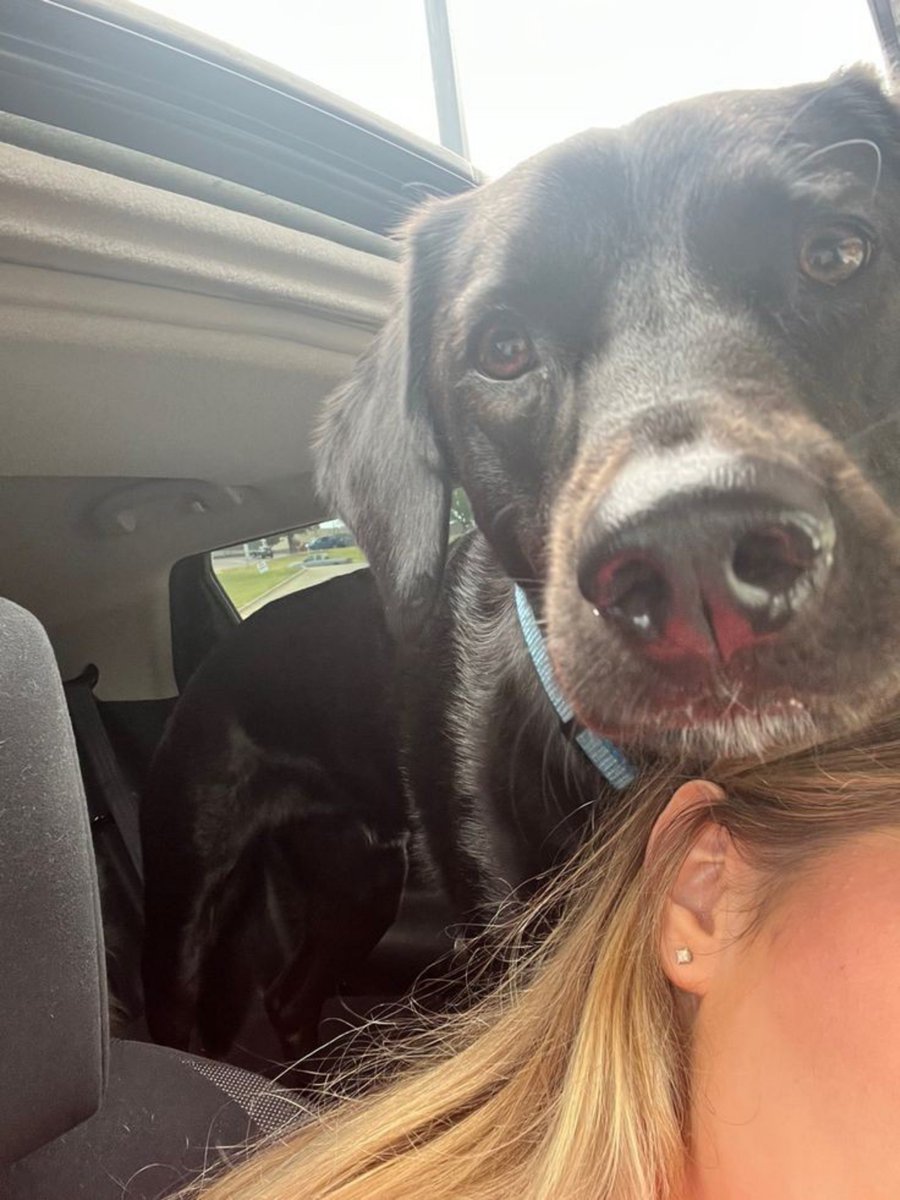 knottieKaren's tweet photo. My dog is the best thing that has ever happened to me ❤��� 🐾 DM me for more Dropbox menu 🔞via my private link below
https://t.co/W9hGn28OEc
https://t.co/W9hGn28OEc
https://t.co/W9hGn28OEc

#doglovers #doggystyle #zoophillia #beastiality #premium #me #content #love https://t.co/kZPRcXzGwO