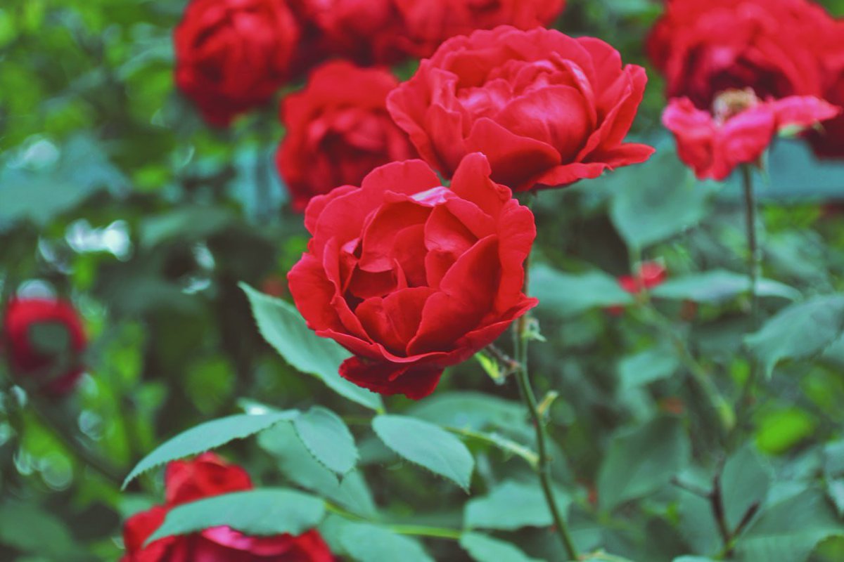 wuwukasa's tweet photo. @aestheticsguyy https://t.co/kNbXwyzE4t