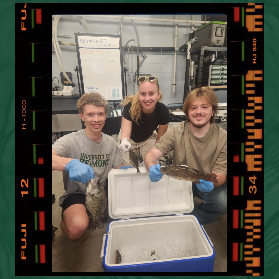 UVM_RSENR's tweet photo. It's been a busy summer down at the Rube Lab!

Ph.D. student Braden Whisler and his team became quite a crew of night owls. They completed five weeks of nocturnal field work sampling nearshore fish communities with an electrofishing boat. https://t.co/X7SlKqHdVQ