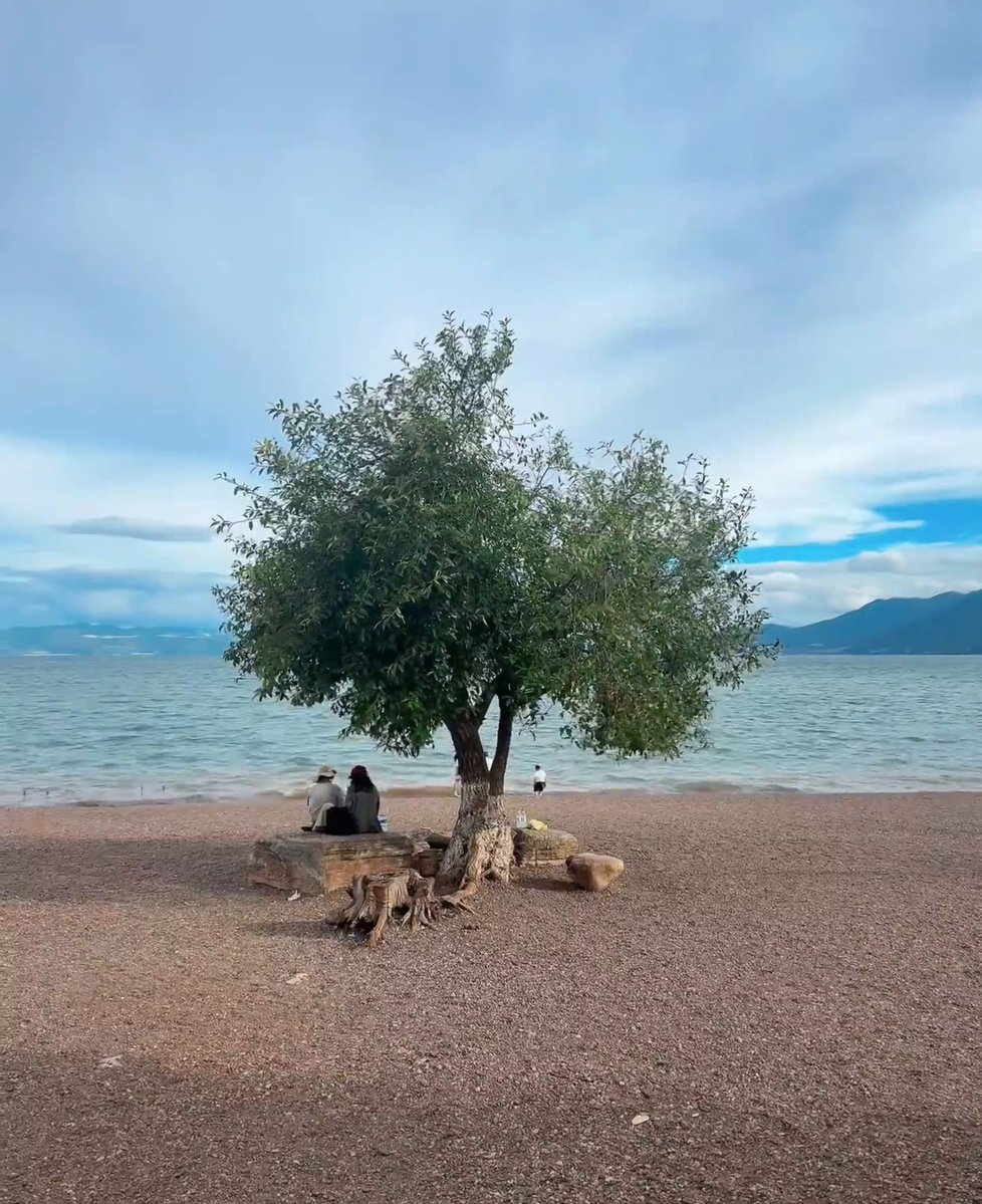 early_cummer's tweet photo. 稍微唠两句，求个靠谱的搭子，💡#上海 七宝 闵行 #沪漂 苏州河沿岸走走，遛狗的人比狗多，主页偶尔也发点日常 #反差 https://t.co/WbF4Exym8y