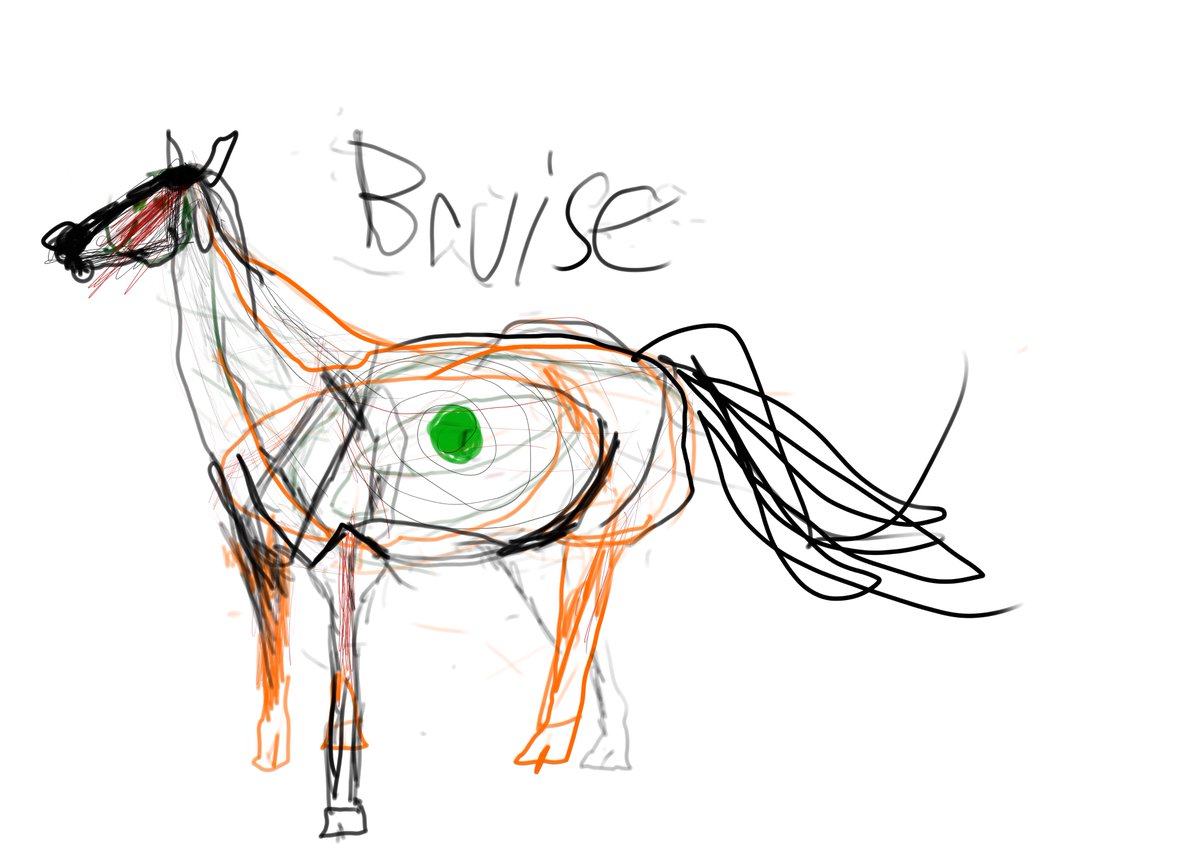 YatesZilla's tweet photo. Horse 13 https://t.co/PoqWLBWzqH