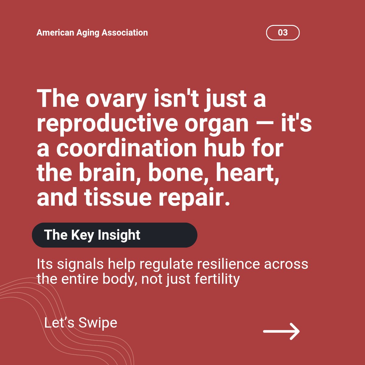 americanaging's tweet photo. New in Cell: @BuckInstitute researchers propose reproduction &amp; longevity aren't a tradeoff — they're evolutionarily coupled. 

The ovary acts as a body-wide coordination hub; menopause may be a new sex-specific "hallmark of aging"
https://t.co/Y4or9jeTSa

#GeroScience https://t.co/mcQTpkE0V1