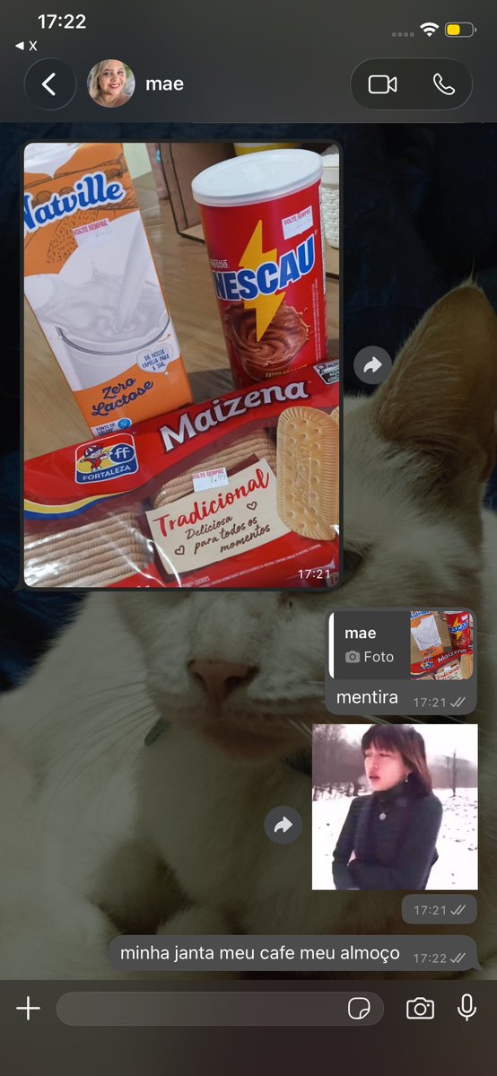 saphicnana's tweet photo. galera, dps que descobri que passo mal com leite puro, tive que parar de tomar nescau, mas sinto saudades de tomar nescau e mergulhar biscoito maisena nele. falei isso pra minha mae a uns minutos atrás e a mensagem que recebo agr: https://t.co/egoxlyIKTR