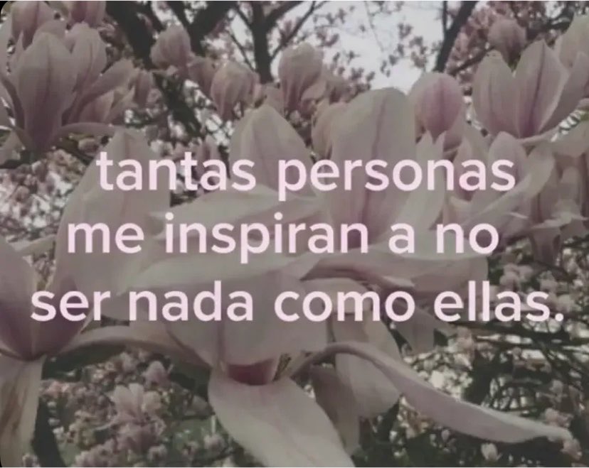 kiereme's tweet photo. https://t.co/ObXFcjz9hh
