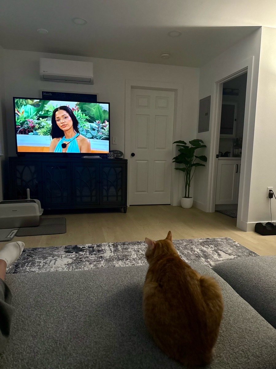 siierrrax's tweet photo. I think I like this little life~~~~~~sometimes lol https://t.co/aqcEv8acNC