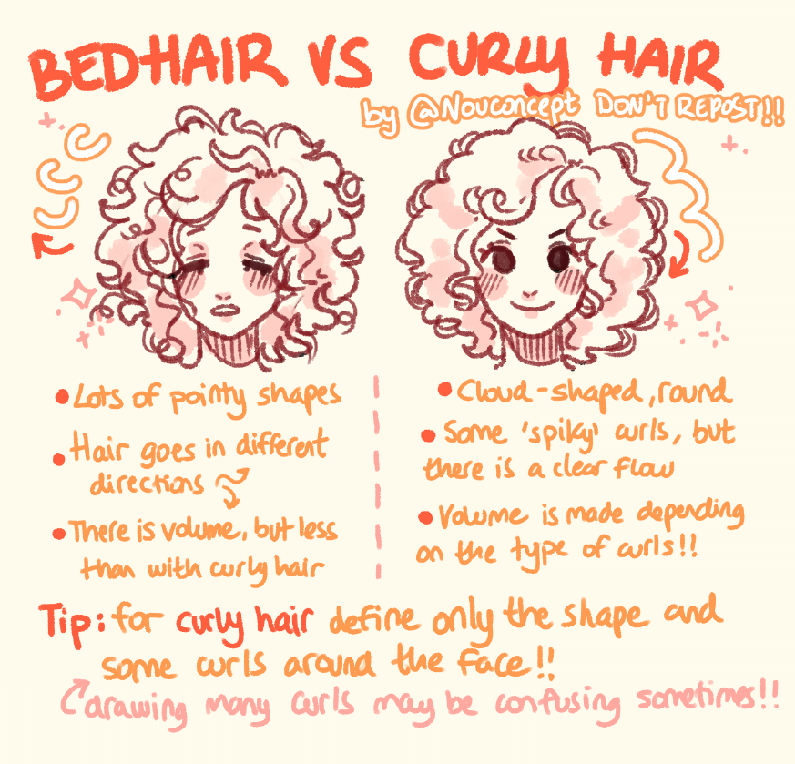 nouconcept's tweet photo. 🎨 bedhair vs curly hair 🎨 and what to keep in mind while drawing them! ✨ https://t.co/SuESo74gzW
