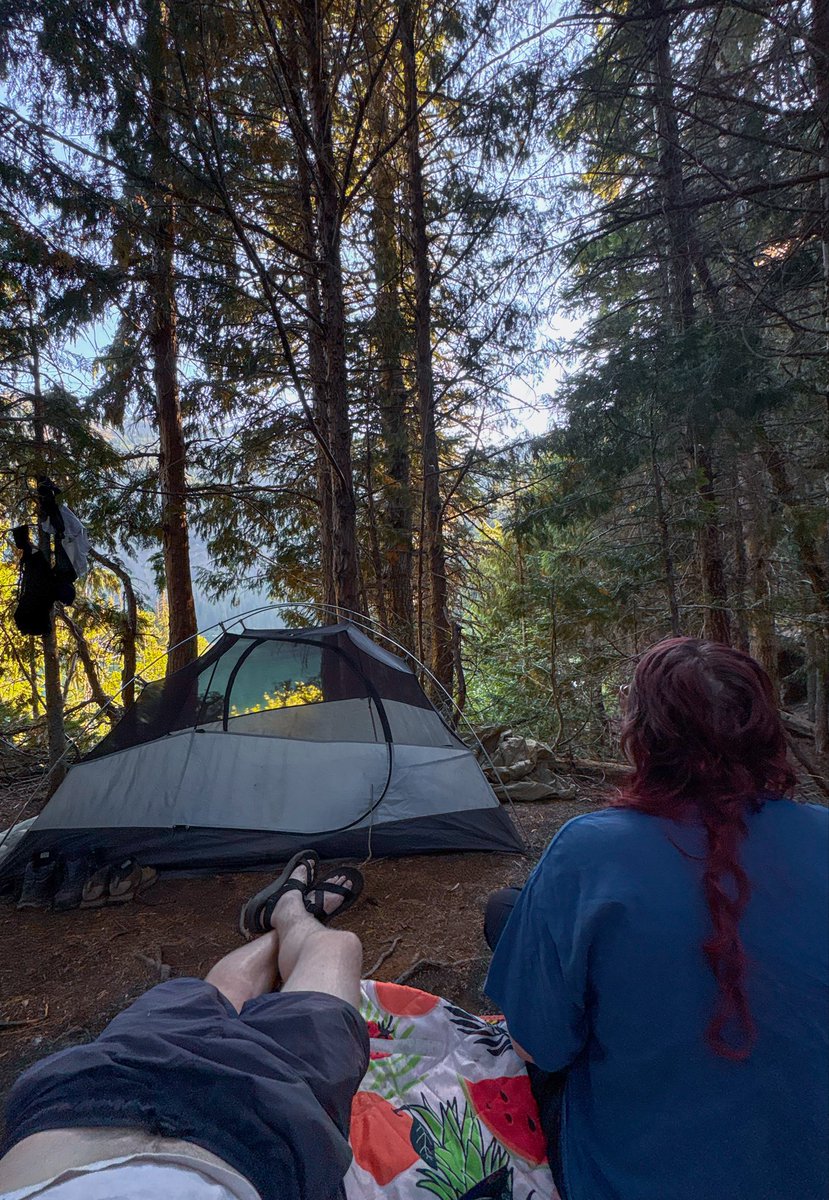 Jawwwwwsh's tweet photo. backpacked to this alpine lake in the Olympic Mountains https://t.co/YFoFJkLbIh