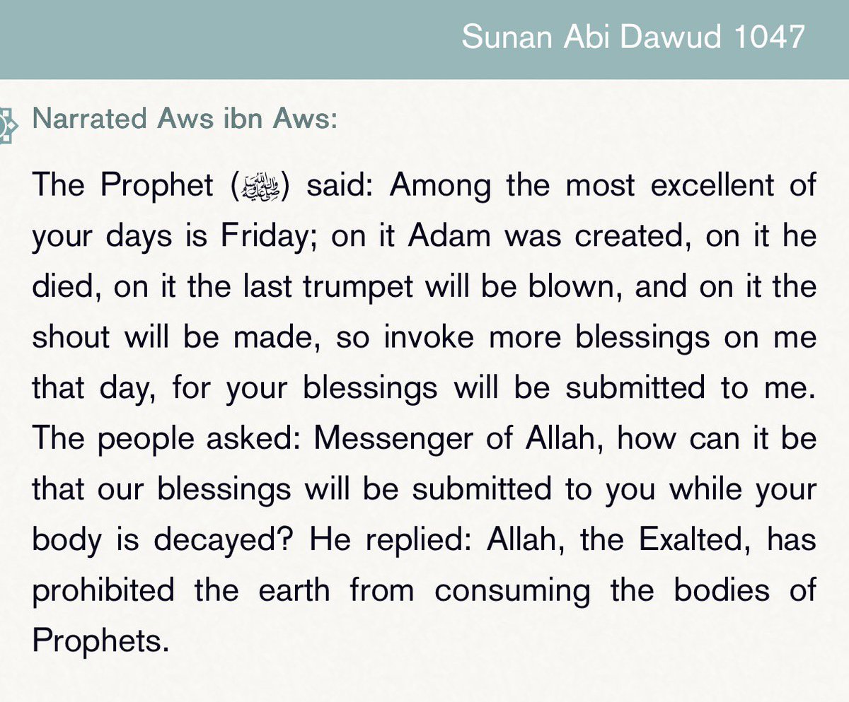 kimo_433's tweet photo. ﷺ❤️