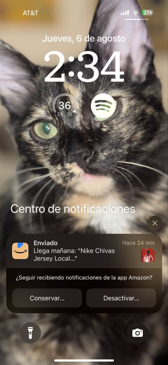 xCherryAndy's tweet photo. Ya ganen weyes no me fallen los tqm @Chivas https://t.co/lBHRiP9mYV