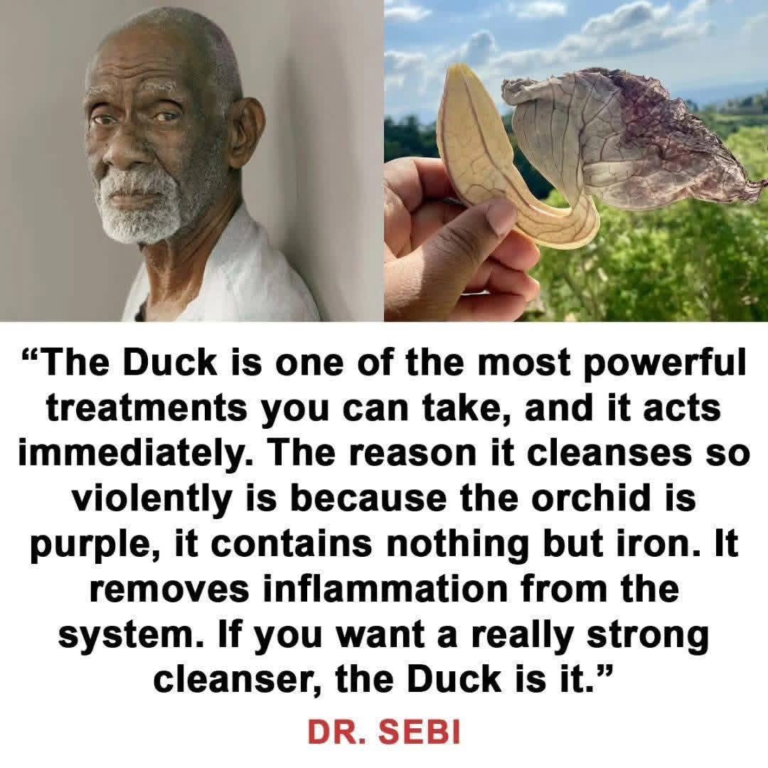 Doctor_Ofemu's tweet photo. Never give up on the journey to permanently cure your infection. Remember, "Health is the Greatest Wealth." Make your health your top priority, because without good health, you have nothing. Healing is a journey.
#herbalremedies #herbalmedicine #herbalism #herbalist #wellness https://t.co/Q4GwTEpi0P