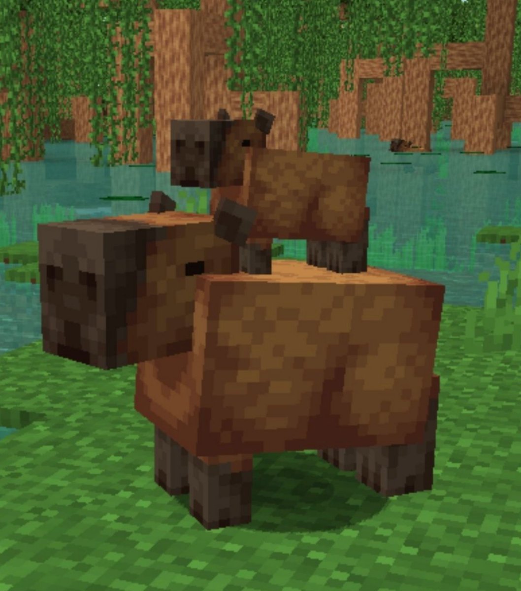 CartoonsOTMoon's tweet photo. Las tres cosas más votadas por los jugadores en Minecraft Feedback son los árboles frutales, las sábanas decoradas y los capibaras. https://t.co/5FOWM1Cqud