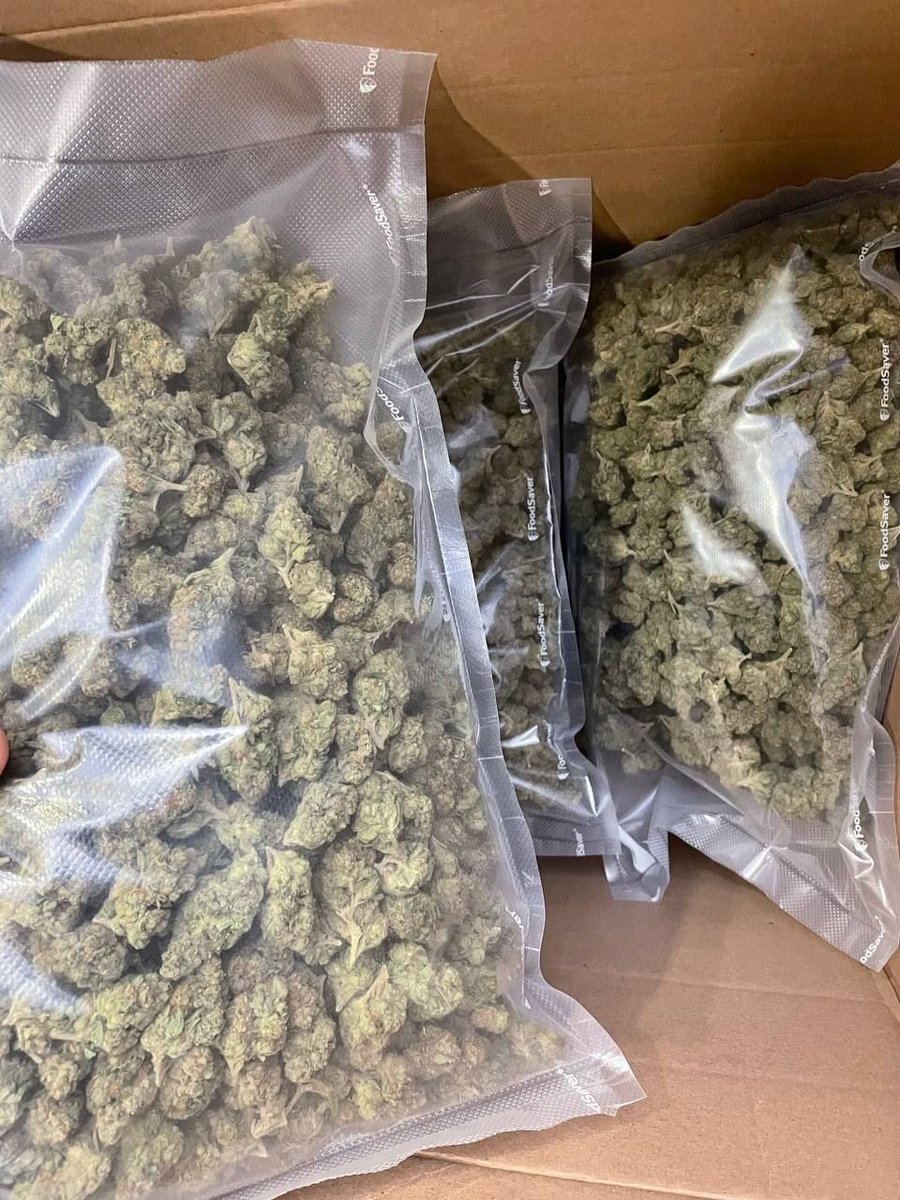 TwistedTrees_'s tweet photo. New York
Weed New York City Weed Buffalo Weed Rochester Weed Yonkers Weed Syracuse Weed Albany Weed New Rochelle Weed Mount Vernon Weed Schenectady Weed Utica Weed White Plains Weed Hempstead Weed Troy Weed Niagara Falls Weed Binghamton https://t.co/xiuBh8UVl8