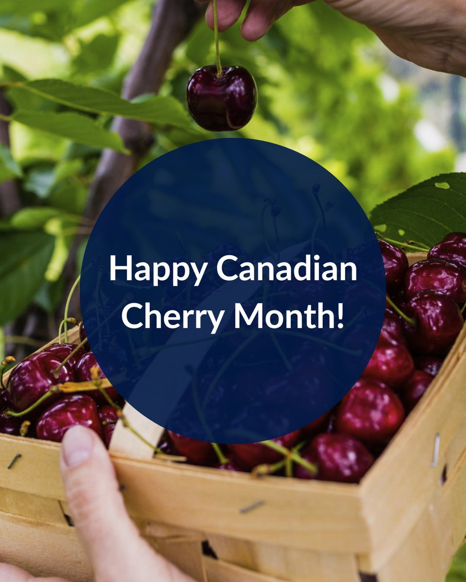 bcagcouncil's tweet photo. 🍒 Happy Cherry Month!

From July 15 to August 15, celebrate one of B.C.'s sweetest summer crops by choosing locally grown cherries and supporting the farmers who grow them. https://t.co/2d1J6HOasp