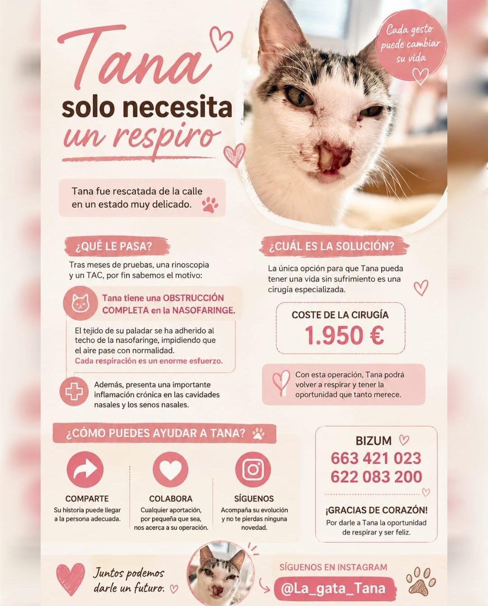 AcofalX's tweet photo. URGENTE TANA NECESITA  UNA CIRUGÍA ESPECIALIZADA PARA PODER RESPIRAR https://t.co/DuiqrGCSEF