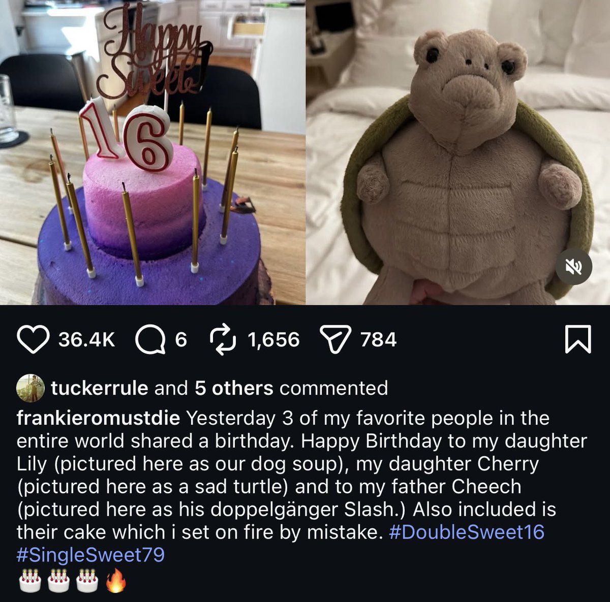gorebugs's tweet photo. “also included is their cake which i set on fire by mistake” 😭😭😭 oh im sure frank . oh im sure https://t.co/zk2biU7STU