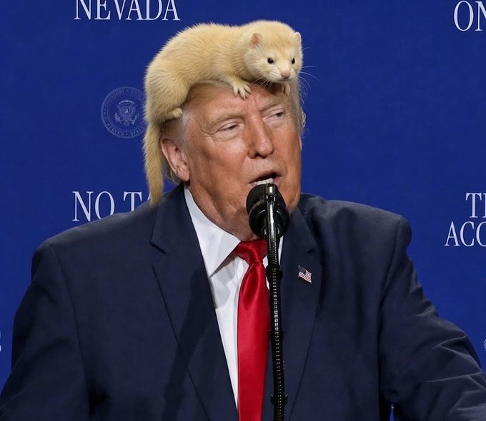 randolf828's tweet photo. @LuciditySyx @EastEndJoe Donald Trump really otter've known better! π #puns ("ought to have") #wig #hair #hairclub https://t.co/JXCwf0vQGc