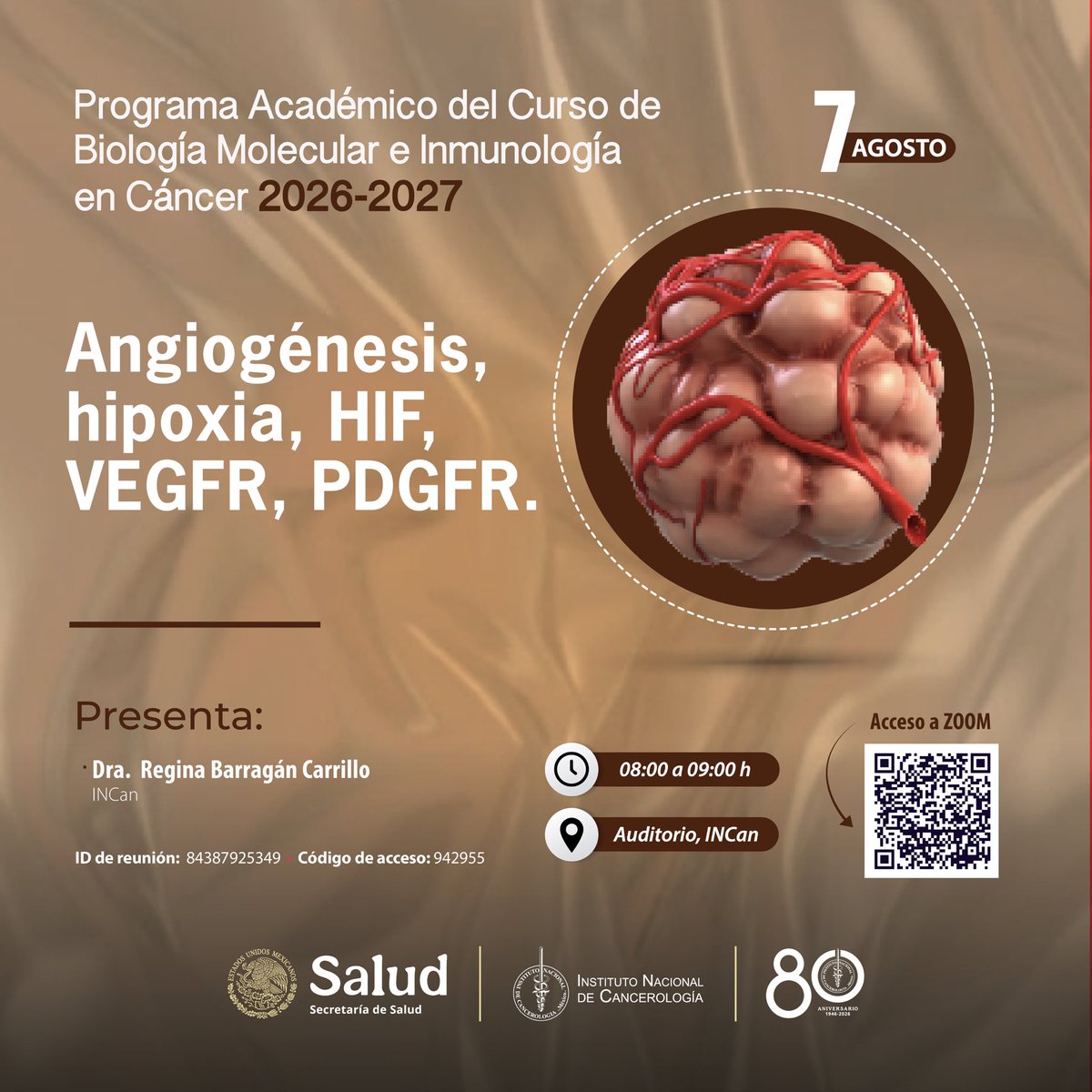incanMX's tweet photo. Programa Académico de Biología Molecular e Inmunología en Cáncer 2026–2027

Conoce los mecanismos de la angiogénesis, hipoxia, HIF, VEGFR y PDGFR.

📅 7 de agosto | 08:00 h
📍 Auditorio INCan y vía Zoom.

Actividad exclusiva para profesionales de la salud. https://t.co/kiLKAj1NCl