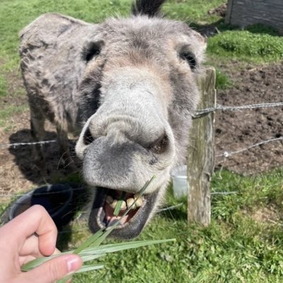 WonkeyPaul's tweet photo. #NouvellePhotoDeProfil
@PlayQuartz @wazzth @grimzmf https://t.co/FOwG2j6BXI