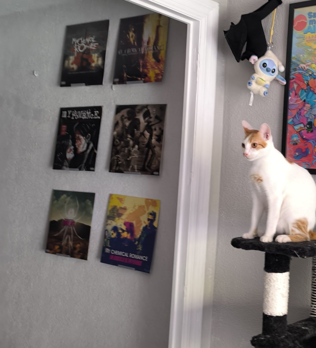 _ratttcore_'s tweet photo. El gato le da el toque https://t.co/rVij356p4p