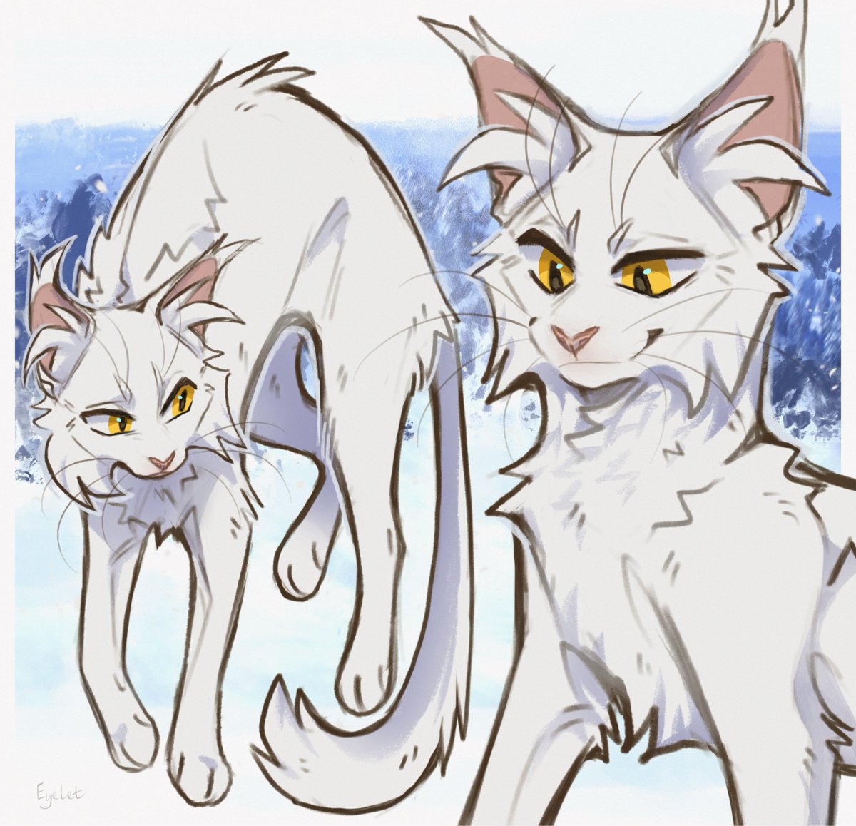 eyelet_meow's tweet photo. Whitestorm

#warriors #catart #cat https://t.co/f8bmsNI3nW
