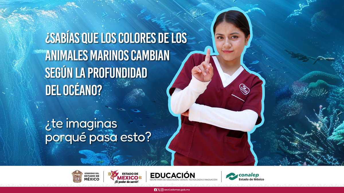 Conalep_Edomex's tweet photo. 🎯 ¡Es tu turno!¿Aceptas el reto? 😎

💬 Déjanos tu respuesta en los comentarios y etiqueta a ese amigo o amiga que siempre tiene la respuesta correcta 🧠

✨ ¡Aprender también puede ser muy divertido!

#Dinámica #ViernesDeDinámica #Curiosidades https://t.co/BkywbQFM06