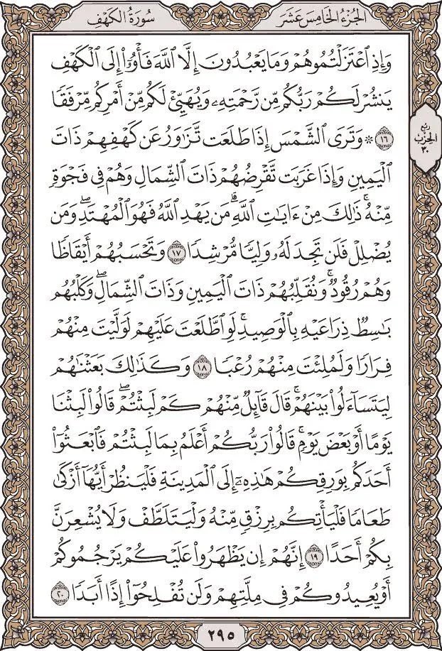 forMohammad0's tweet photo. https://t.co/isTbP03Qa7