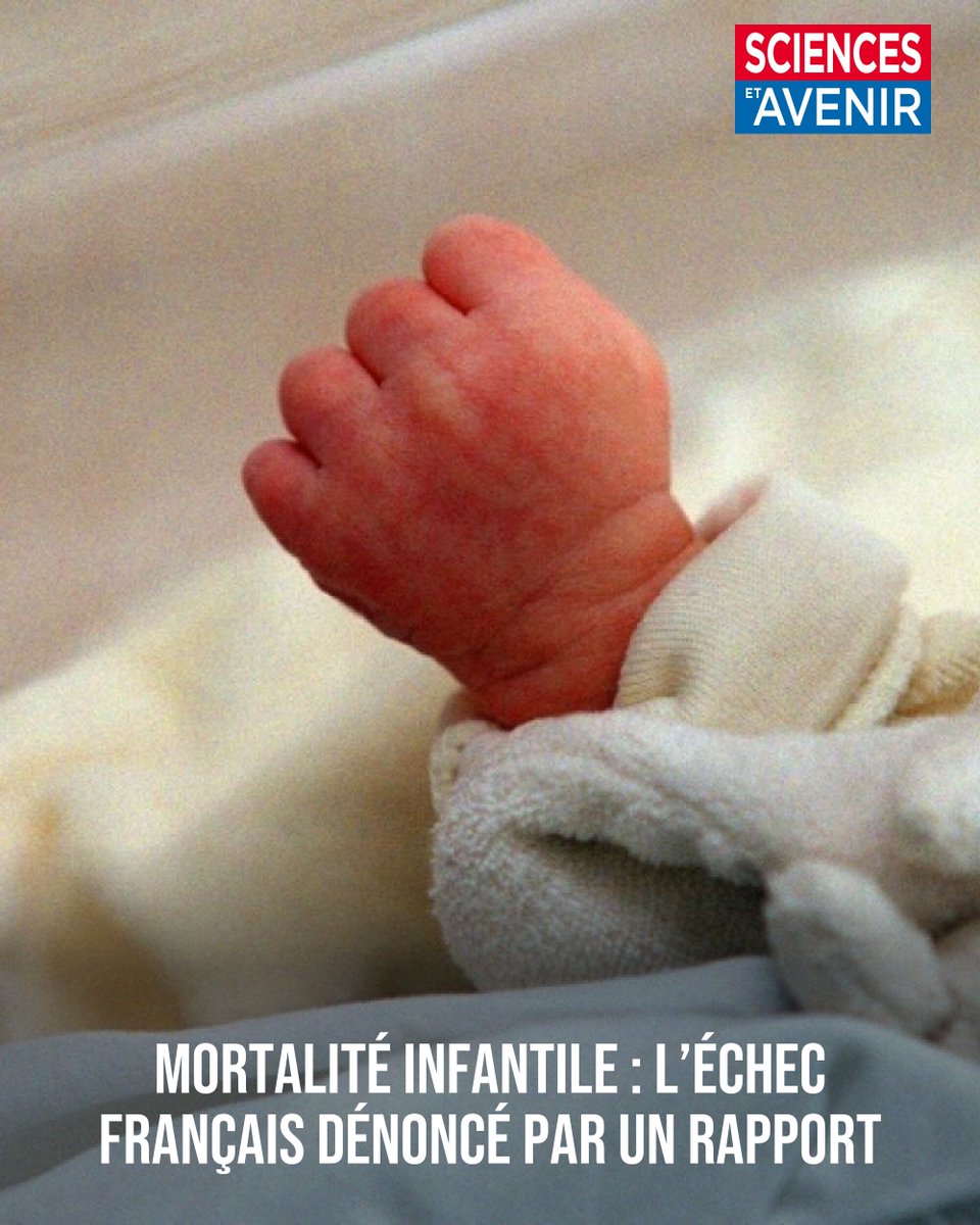 Sciences_Avenir's tweet photo. La mortalité infantile continue de progresser en France, plaçant le pays parmi les mauvais élèves européens. Un rapport, qui n’avait pas été rendu public jusqu’ici, propose plusieurs pistes pour enrayer cette dégradation.
👉 https://t.co/WszZwqUik0 https://t.co/UJ0zeM7yaD