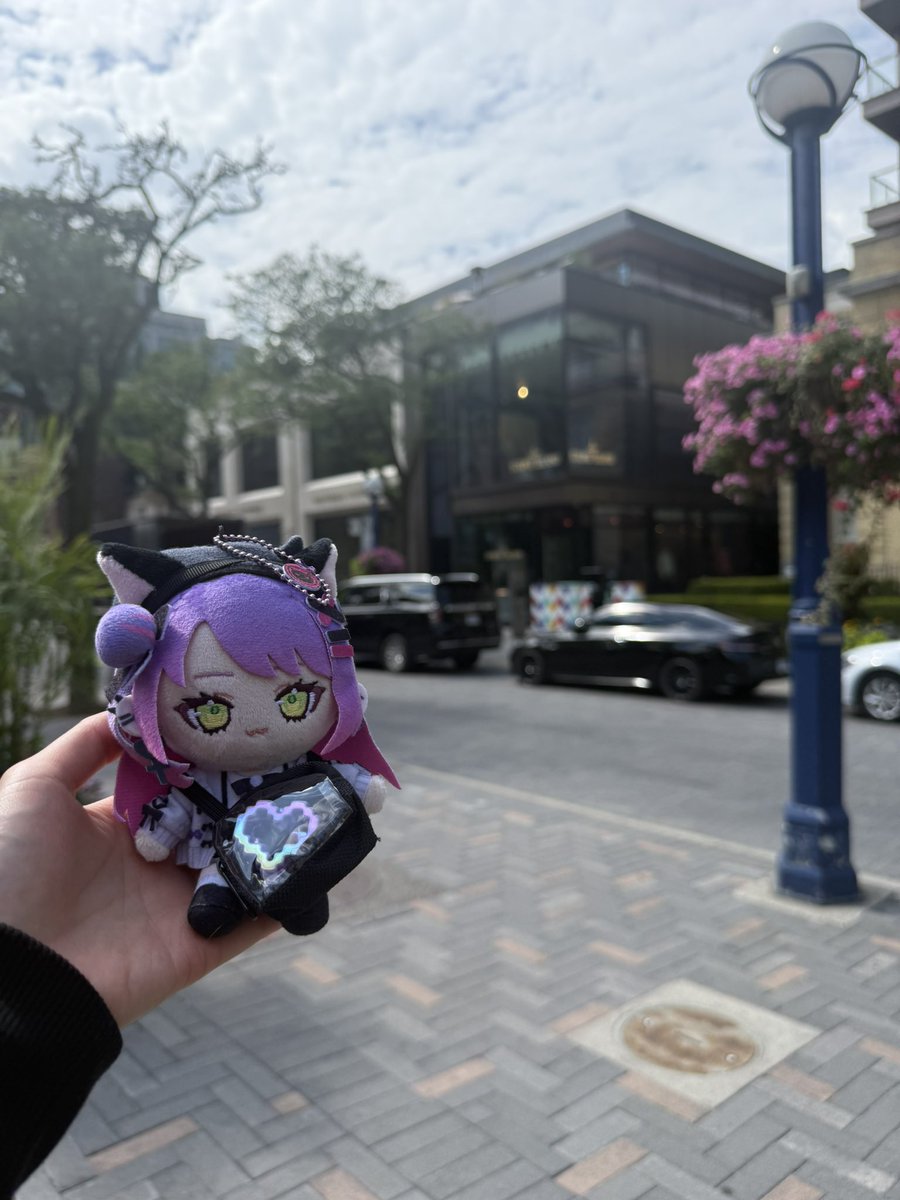 Deviltodeath4's tweet photo. トワ様とお散歩来たよ👾
チェーン写ってごめんね🥺
 #Canada
 #Yorkville 
 #Towavel https://t.co/9qYoFgEr4O