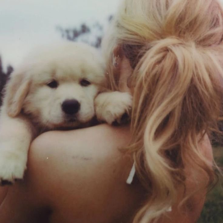brasilbrina's tweet photo. 🐾 GAIN SABRINA CARPENTER MOOTS 🐾

🐾 Reply “🐾”
🐾 Follow me
🐾 Follow each other &amp; follow back
🐾 RT to help spread https://t.co/edpwfoyw5j
