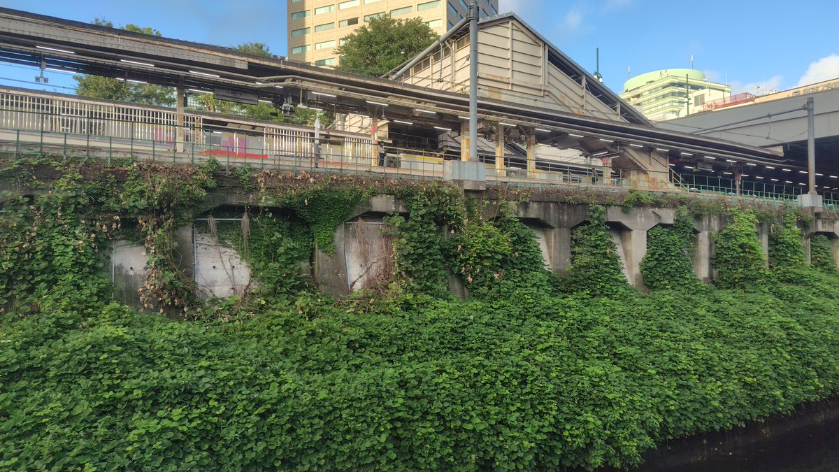 devnyaa's tweet photo. ぐーてんもるげん、お茶の水 https://t.co/eGSp8oX2Fm