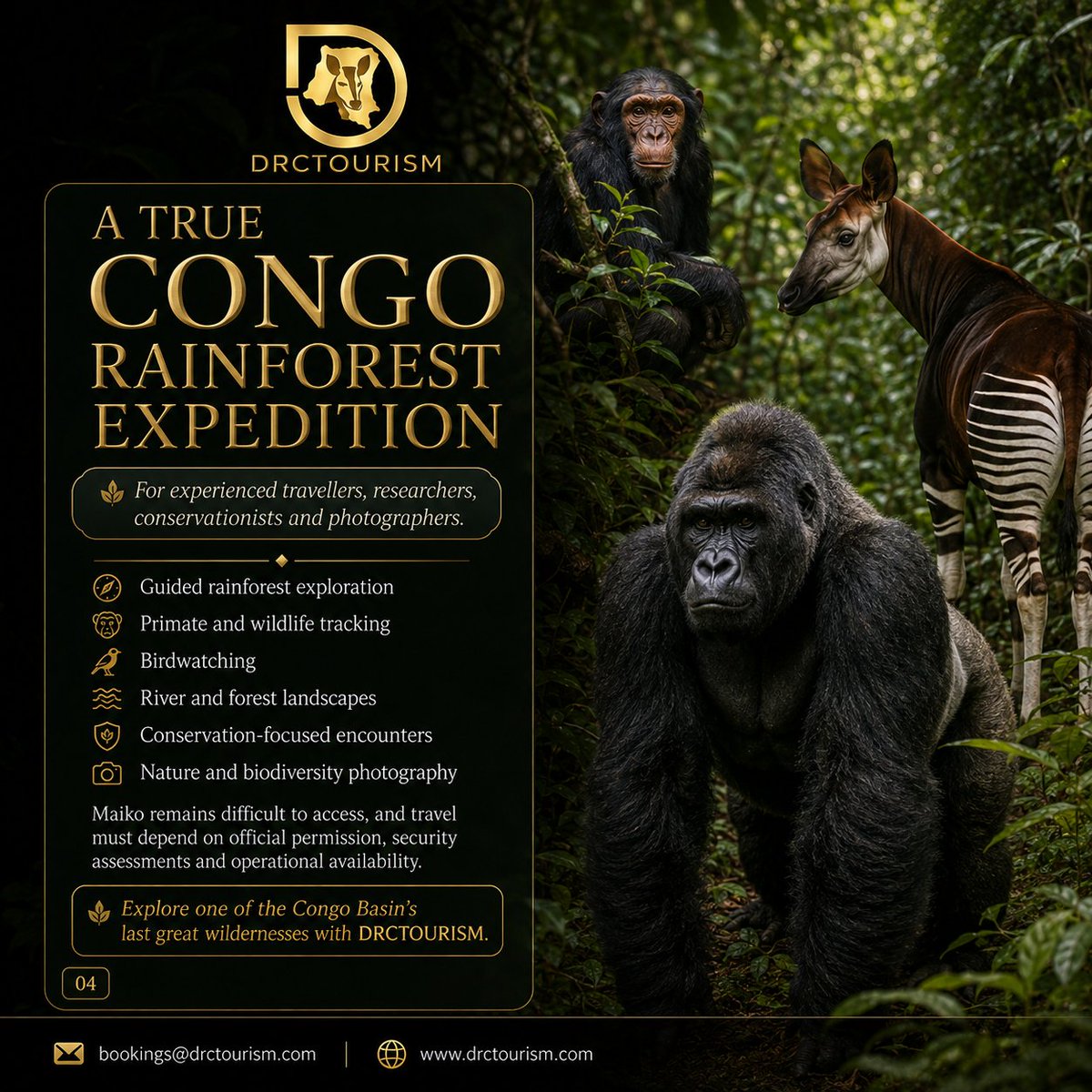 congoconnect360 tweet picture