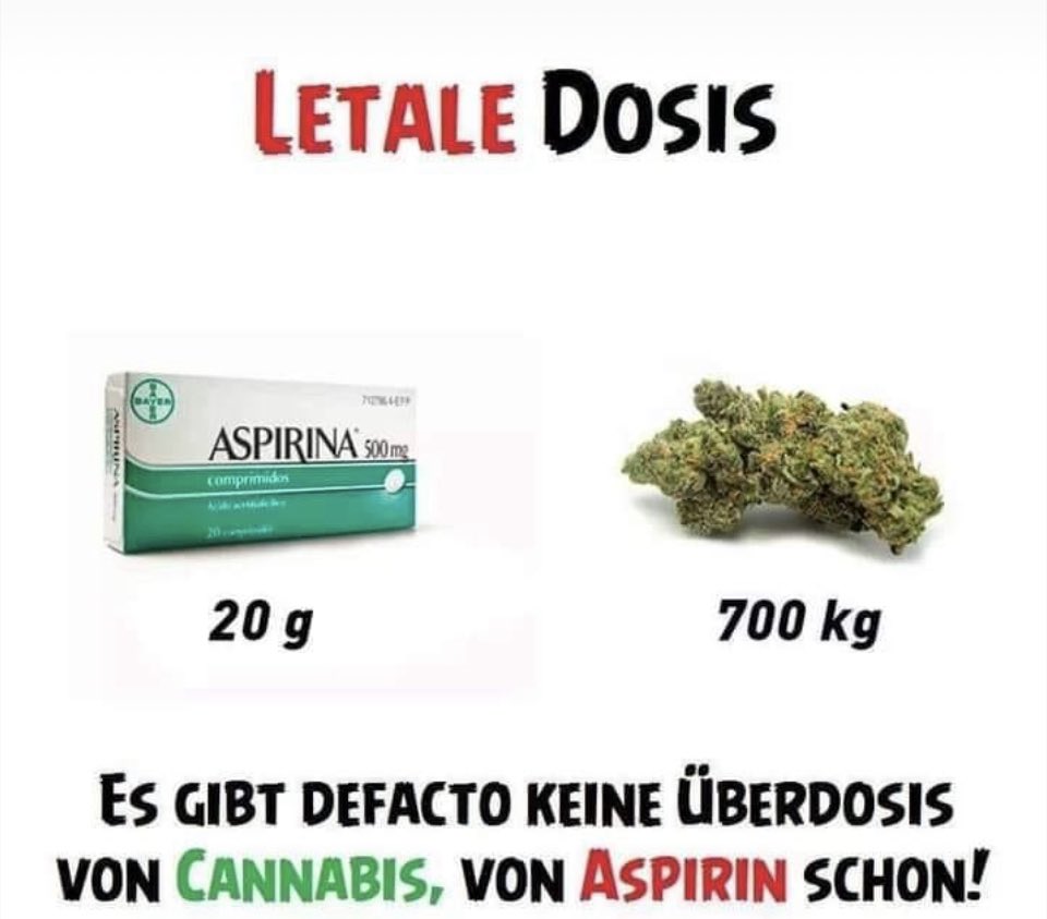 ThomasV94305869's tweet photo. @depperla Nebeneinkünfte werden totgeschwiegen- die Korrupten haben gegen ein Lobbyregister gestimmt!
Nur ne Frage der Zeit bis der Knoten sich auflöst.
#Cannabis Hetze bringt #Soedolf wieviel von Pharma & ALKlobby? https://t.co/b2dbgn11hl
