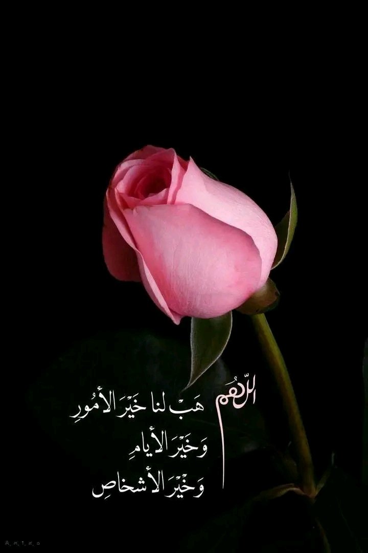 mfa_2011's tweet photo. اللهم هب لنا خير الأمور
و خير الأيام
و خير الأشخاص https://t.co/XhIZ9tQOFA