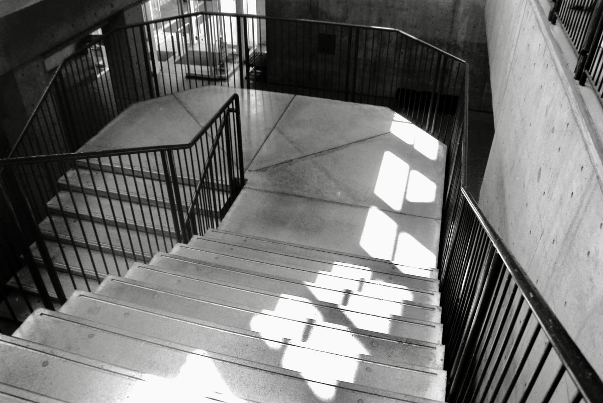 turbou3's tweet photo. #FOMAPAN200 #自家現像 #MARIX100 長巻なので最後の1枚が不完全なのも味である🎞️
フィルムも並べたらなんとなくわかる https://t.co/3QbhPDZkEW