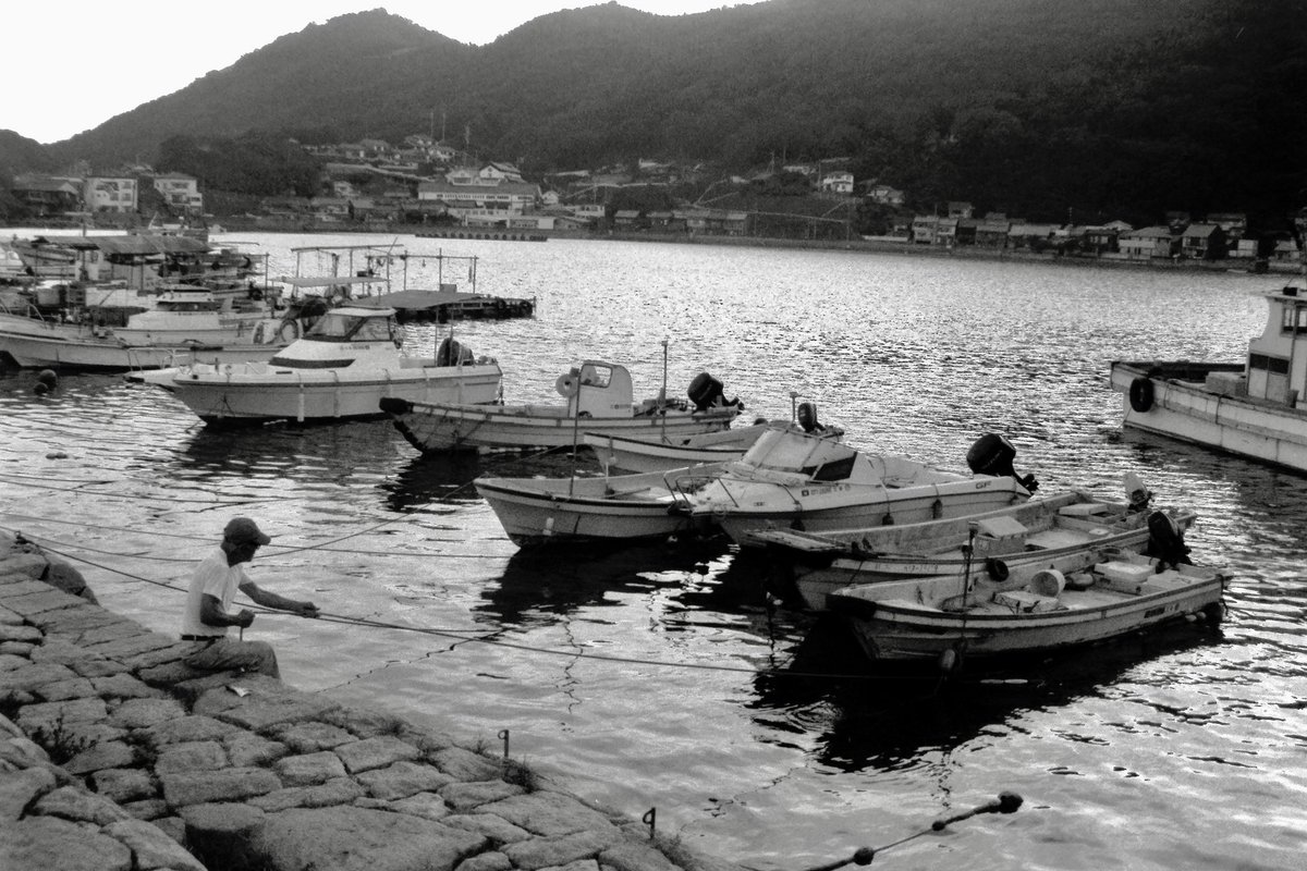 turbou3's tweet photo. #FOMAPAN200 #自家現像 #MARIX100 長巻なので最後の1枚が不完全なのも味である🎞️
フィルムも並べたらなんとなくわかる https://t.co/3QbhPDZkEW