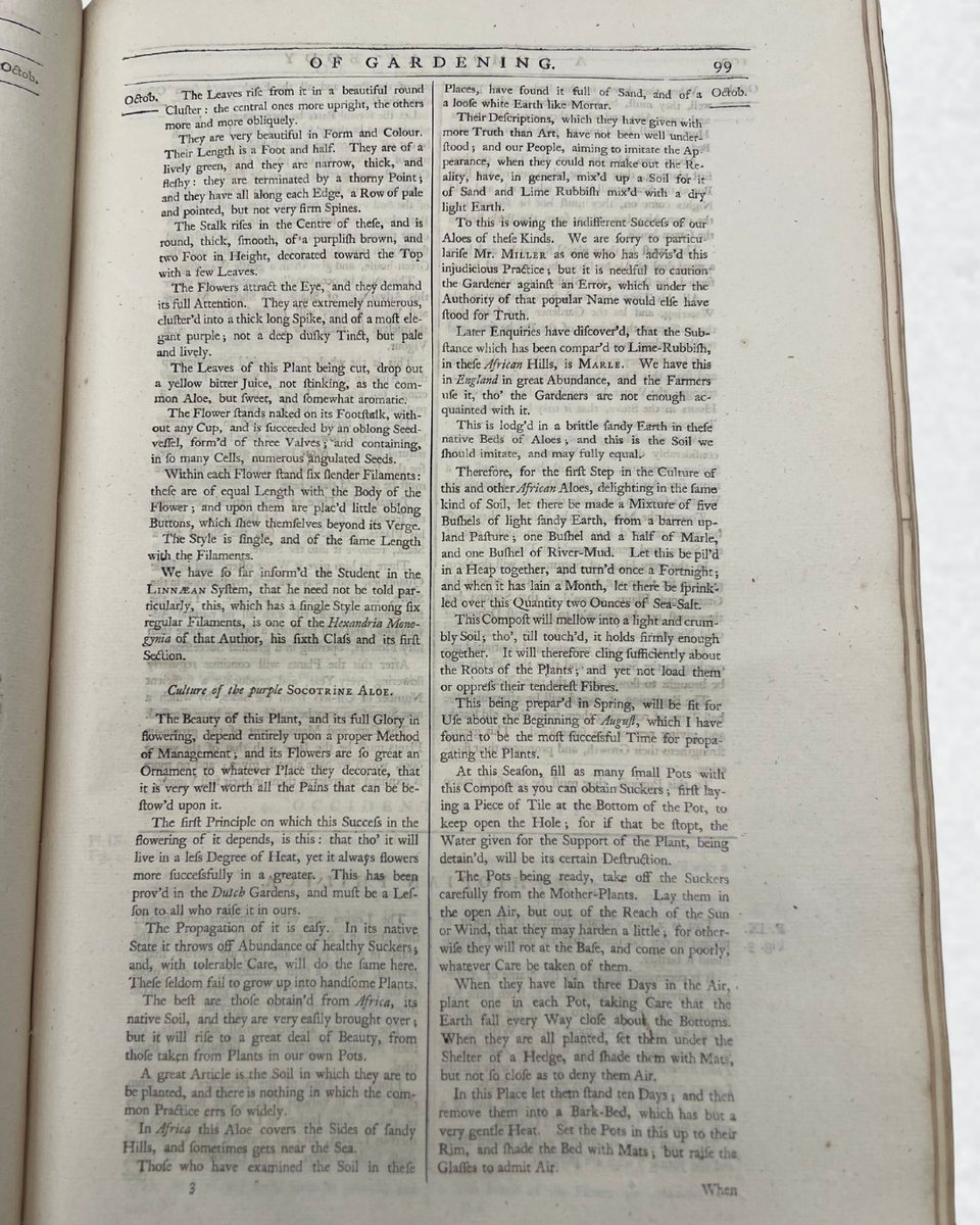 OSUhsl's tweet photo. ☀️🧴 Got a sunburn? The purple socotrine aloe, now known as Table Mountain aloe, has long been associated with soothing skin.

But there's a twist.

Its sap can stain your skin purple! 💜🫣

Would you use it anyway?

#OSUHSL#MedicalHistory #MHC https://t.co/VyzAQJueqm