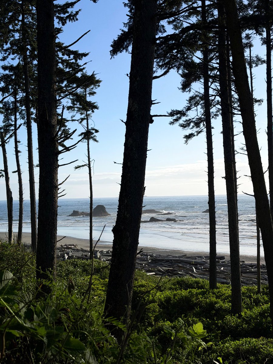 _crucified1's tweet photo. The Olympic Peninsula https://t.co/z5HP9zbYdz
