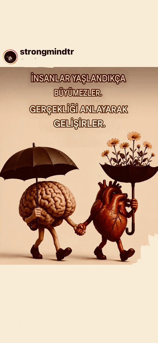 handantugcu's tweet photo. https://t.co/HjCgN5Ch8v