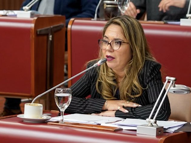 tatyanaale's tweet photo. Hoy presenté en la @LegisdelChubut un proyecto de declaración para expresar nuestro más enérgico repudio al proyecto de ley impulsado por el Poder Ejecutivo Nacional sobre la denominada “Inviolabilidad de la Propiedad Privada” que hoy debate el Senado de la Nación. + https://t.co/i2FzGkE2EM