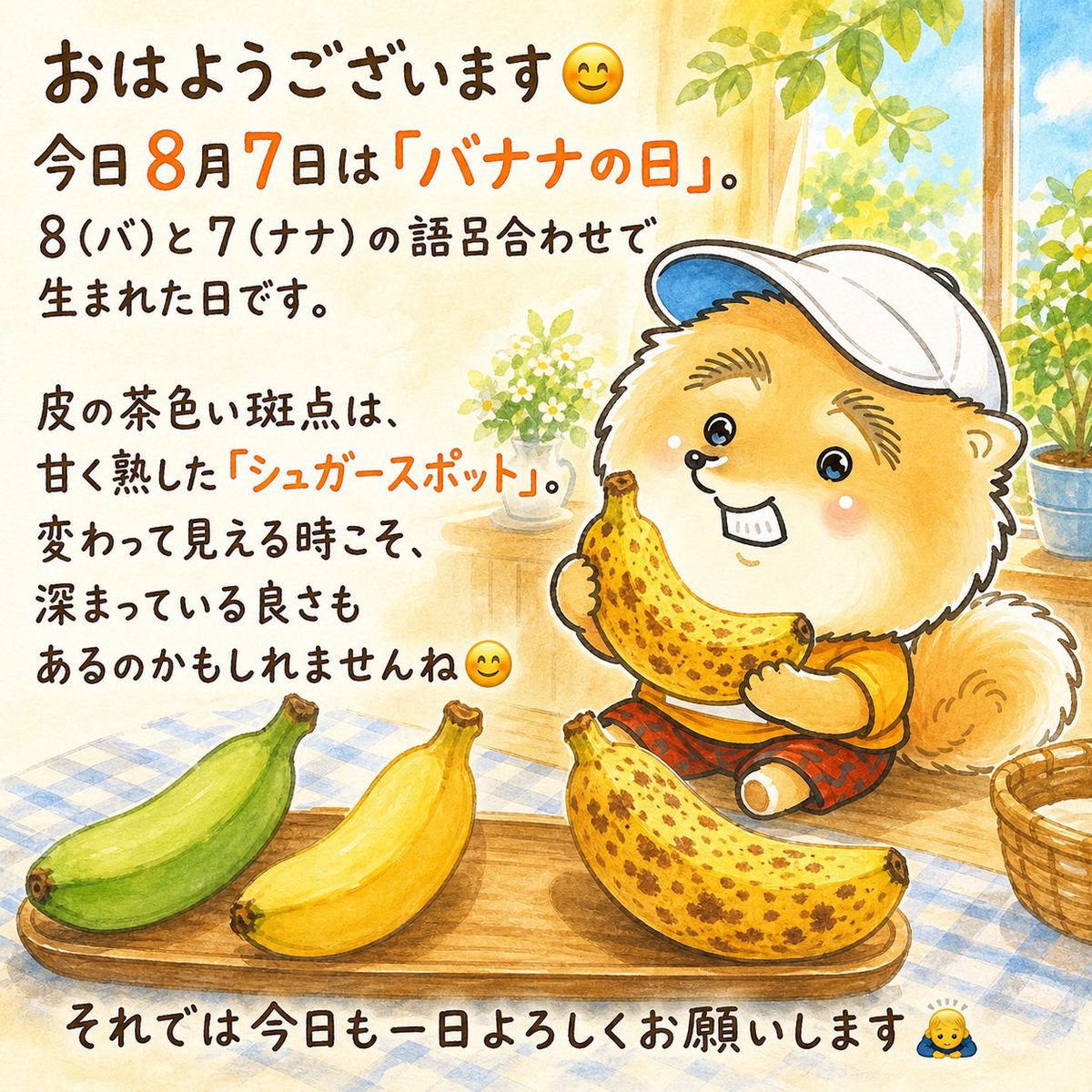 shinziweb's tweet photo. おはようございます😊 今日8月7日は「バナナの日」。 8（バ）と7（ナナ）の語呂合わせで生まれた日です。  皮の茶色い斑点は、甘く熟した「シュガースポット」。 変わって見える時こそ、深まっている良さもあるのかもしれませんね😊  それでは今日も一日よろしくお願いします🙇 https://t.co/qUAhA3Ujgj