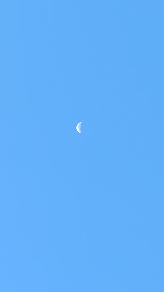 murasyu15's tweet photo. 青々しいそらと月

AM6：00

#イマソラ https://t.co/XJz8SxLxKy